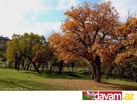 Güney Azərbaycanın Sarıdaş məntəqəsindən gözəl GÖRÜNTÜLƏR